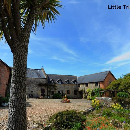 Trill Cottage Musbury 외부 사진