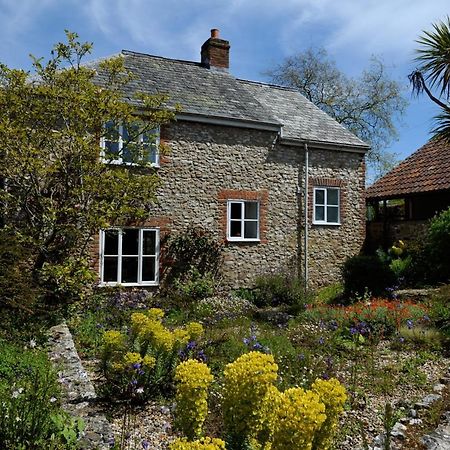 Trill Cottage Musbury 외부 사진
