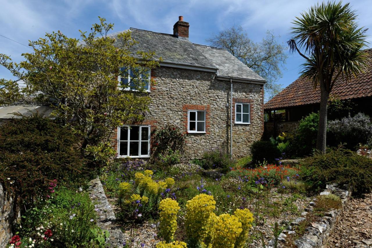 Trill Cottage Musbury 외부 사진